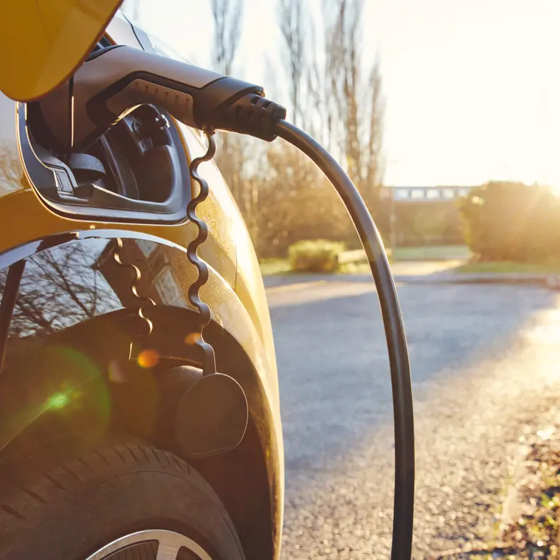 Electric Car Censo